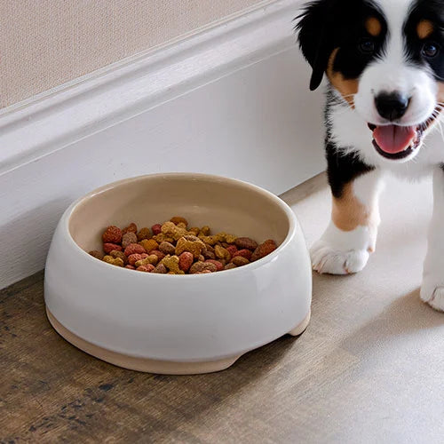 Stone Pet Bowl